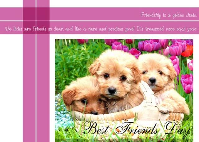 Happy Friendship Day Photo Picture