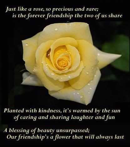 Friendship Fact Photo Picture