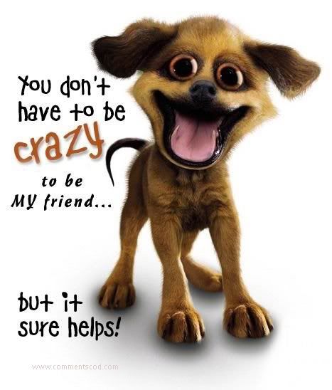 Friendship Photo Picture