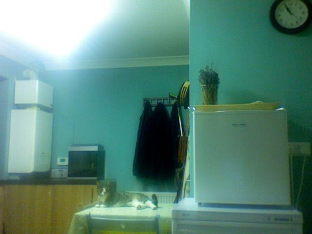 Photo148.jpg
