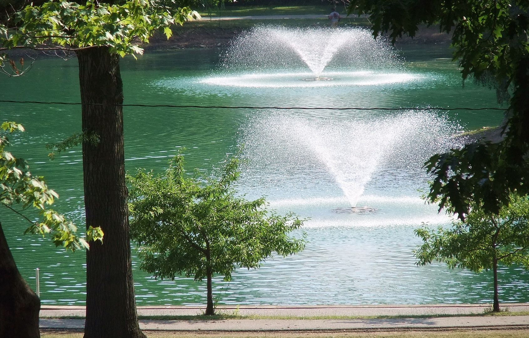 DSCF5842.jpg