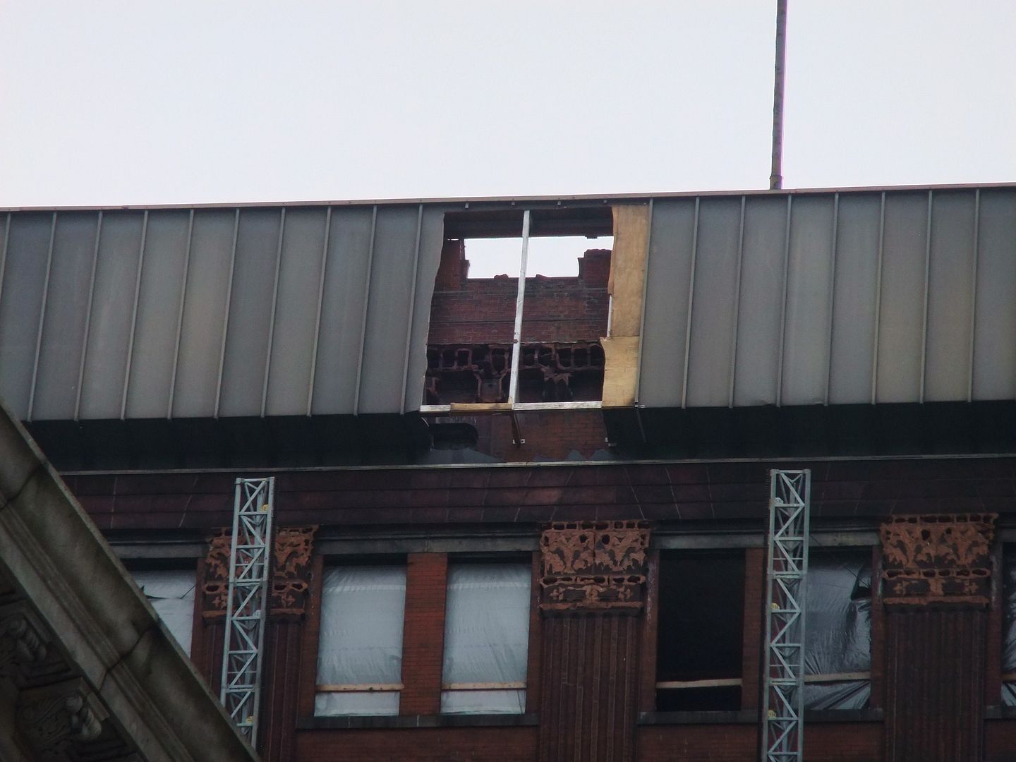 DSCF5225.jpg