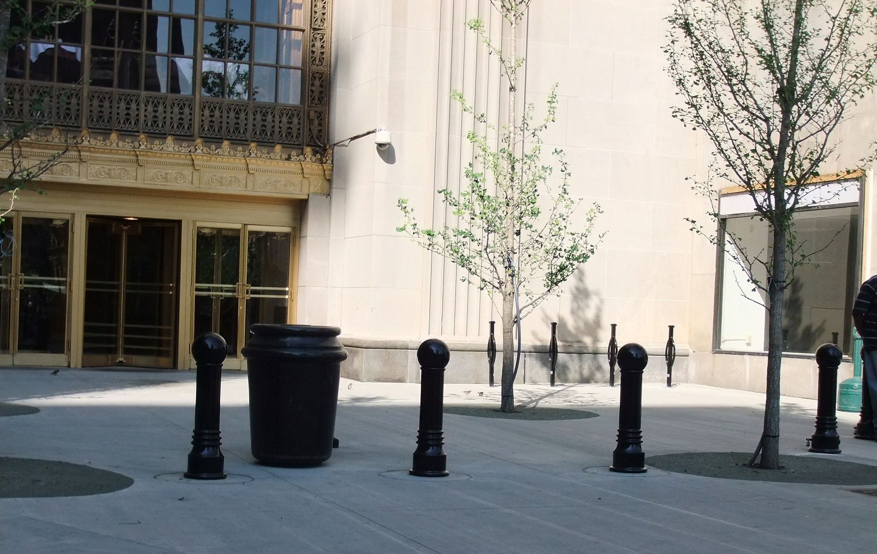 DSCF5586.jpg