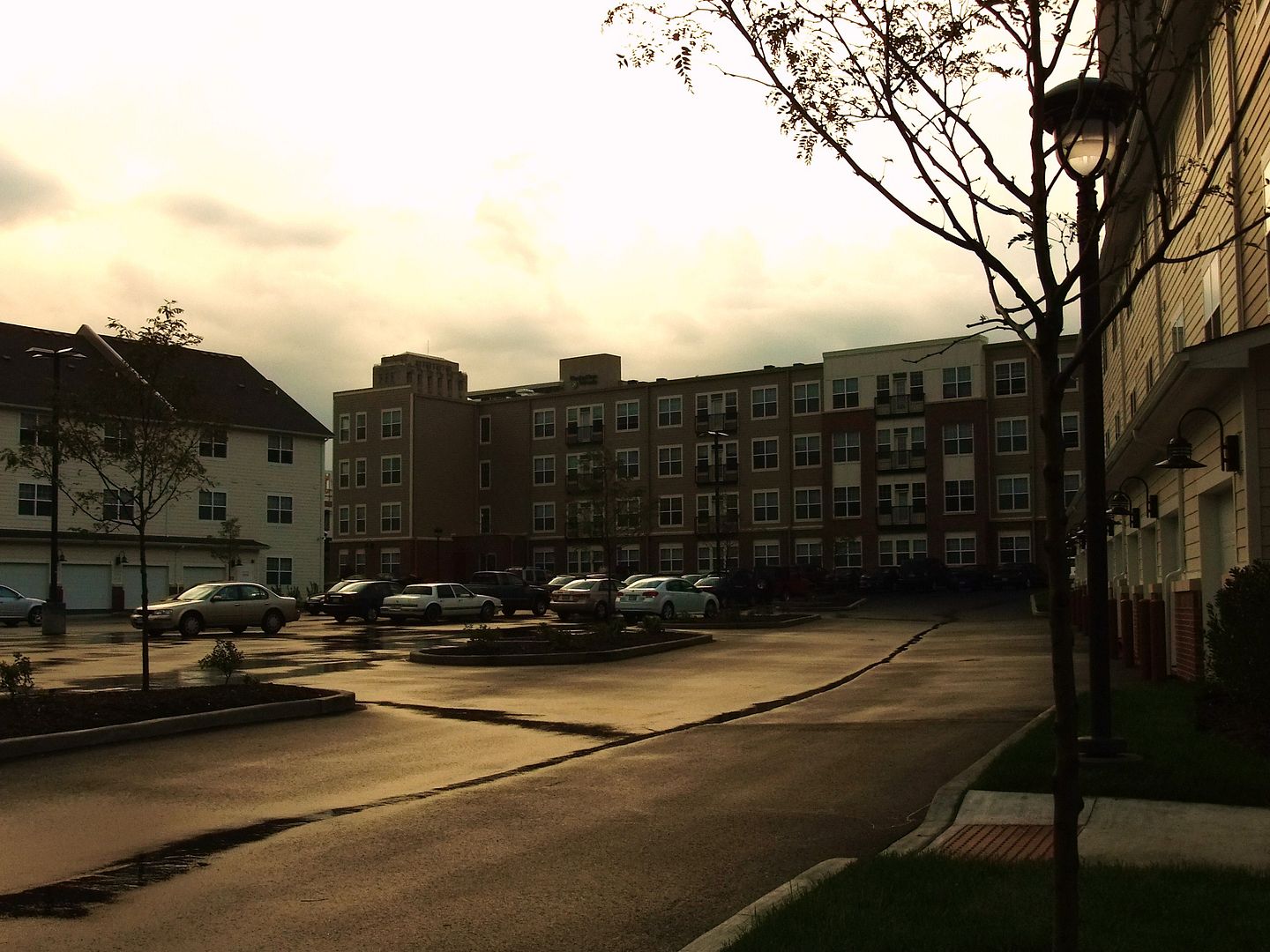 DSCF6102.jpg