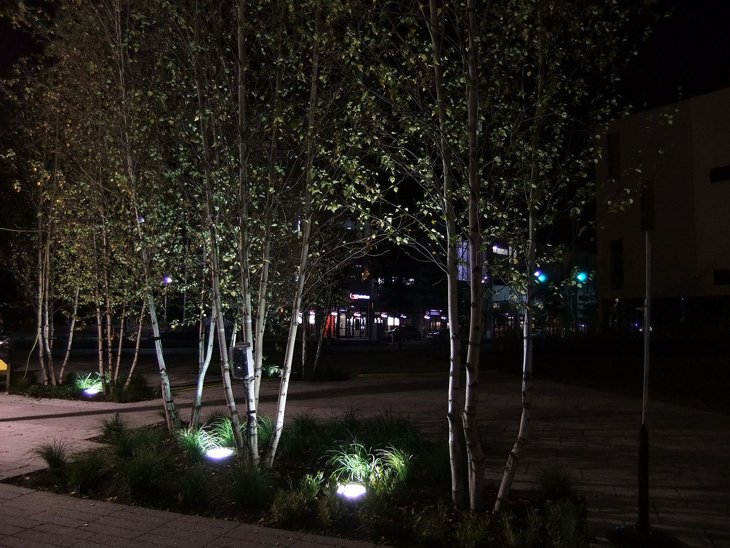 DSCF6265.jpg
