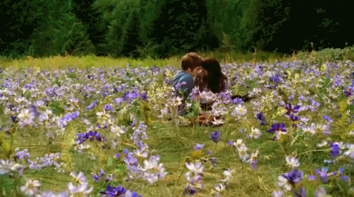 1ebmeadowkiss.gif