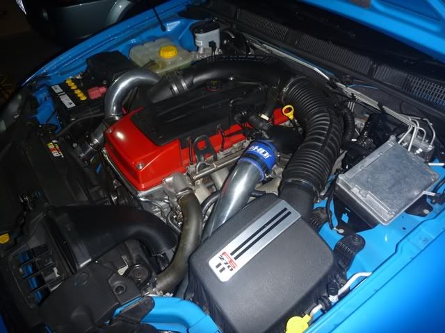 P1010257.jpg