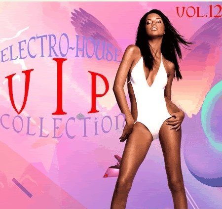 VA-Electro-House VIP Collection vol.12 (2010)