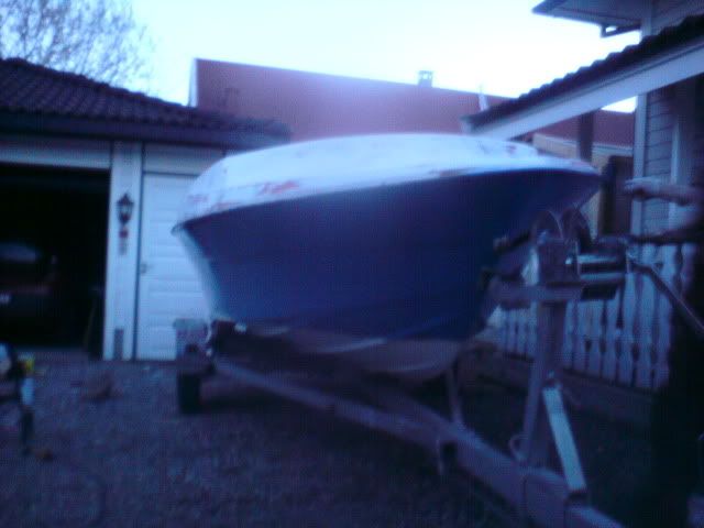 DSC01378.jpg