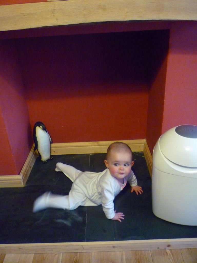 P1080763_zps0f1bc111.jpg