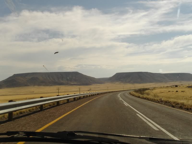 landscape.jpg