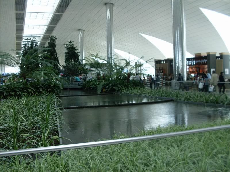 dubai3.jpg