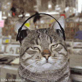 Gato escutando Rock Alternativo