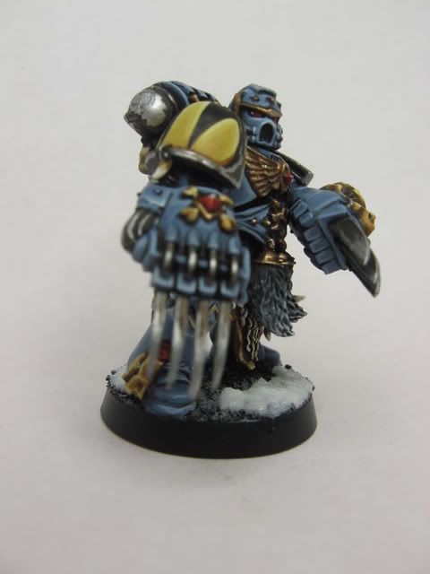 Space Wolf