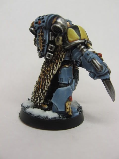 Space Wolf