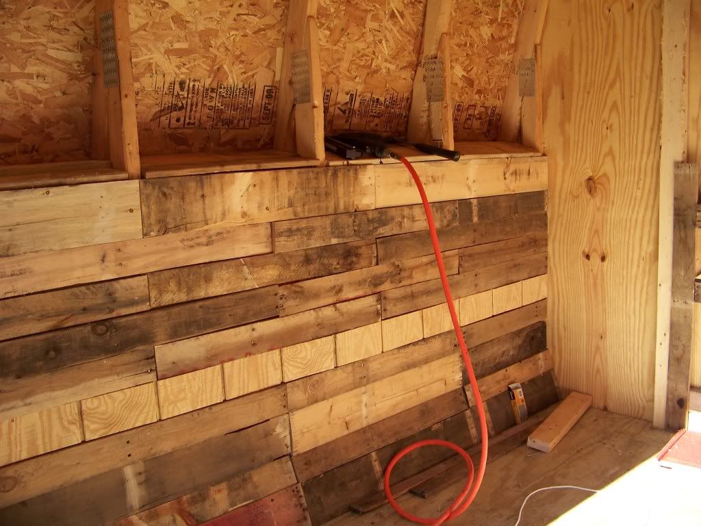 Displaying 19&gt; Images For - Inside Chicken Coops...