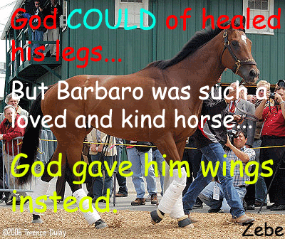 Barbaro Pictures, Images and Photos