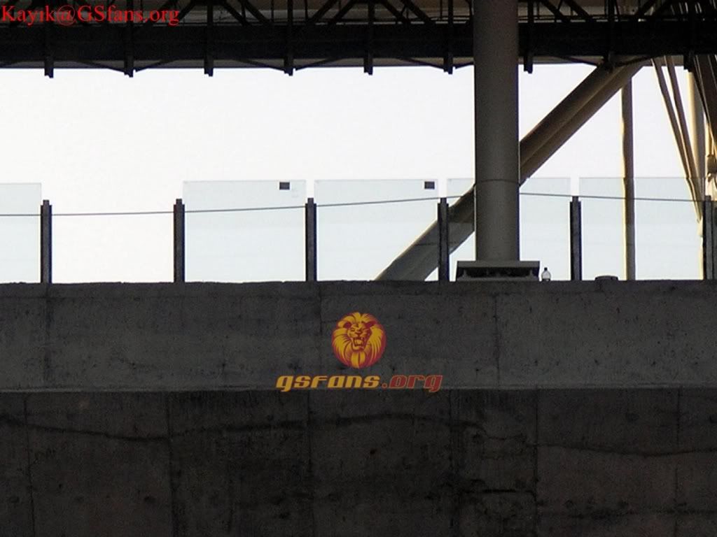 P1014256-011.jpg