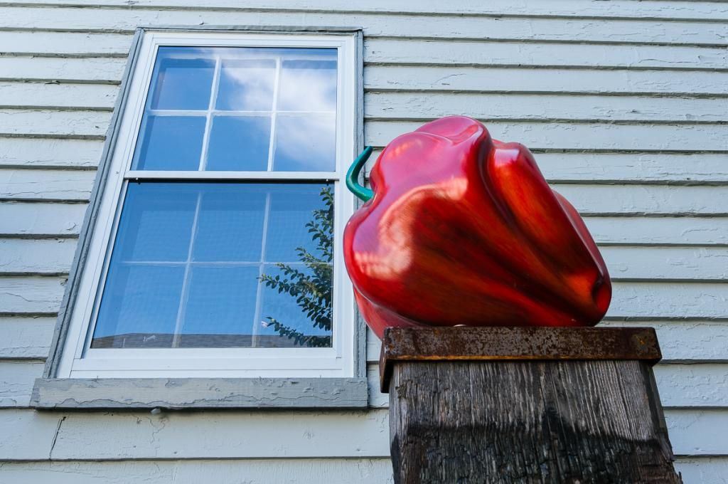 Pepper and Window - 2 views