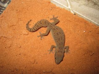 IMG_0017.jpg