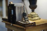 Bild