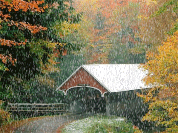 rain_animation.gif