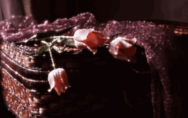 roses photo: Pink Roses ma39-7.gif