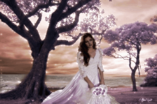 Bride photo ma4-47.gif