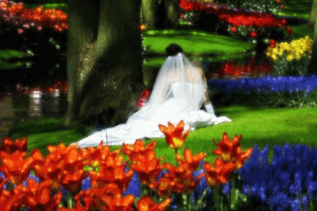 Bride photo ma43-7.gif