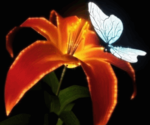 Butterfly gif by NewBeginnings2 | Photobucket