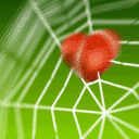 Heart Pictures, Images and Photos