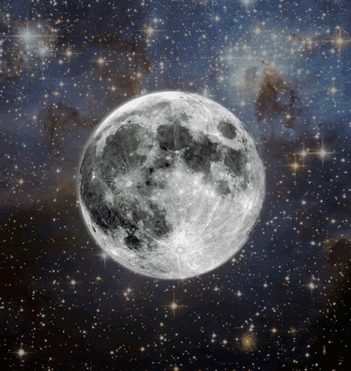 Heart Pictures, Images and Photos