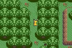 0907-PokemonRubyUMugs_02-2.jpg