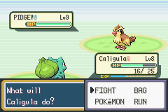 Pokemon-FireRed_08.png