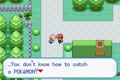 Pokemon-FireRed_18.png