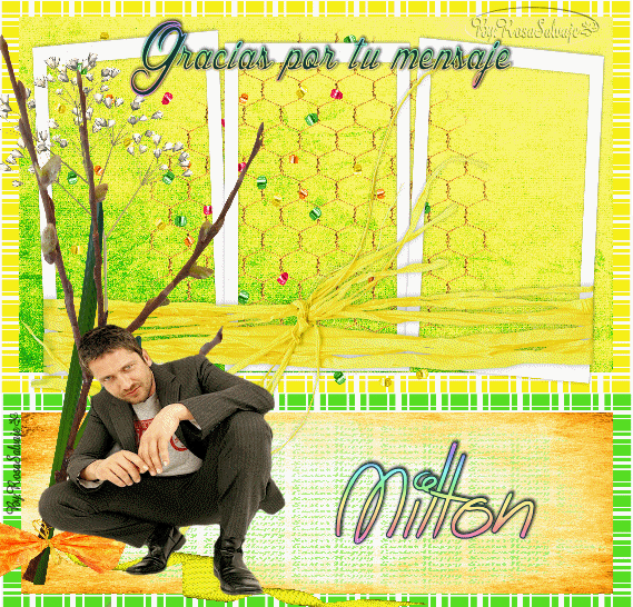  photo mi2_zps2583e52c.gif