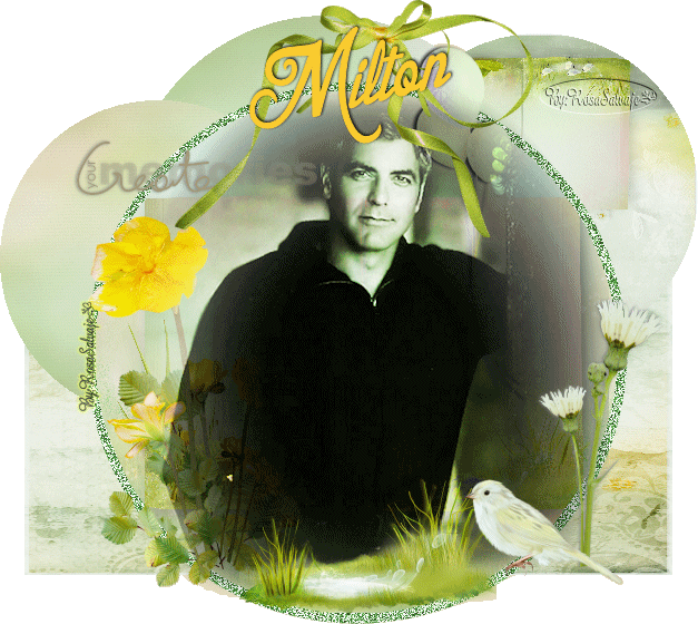  photo mi_zps4af9e4db.gif