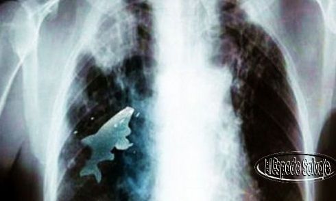  photo pez_zps7715b27c.jpg