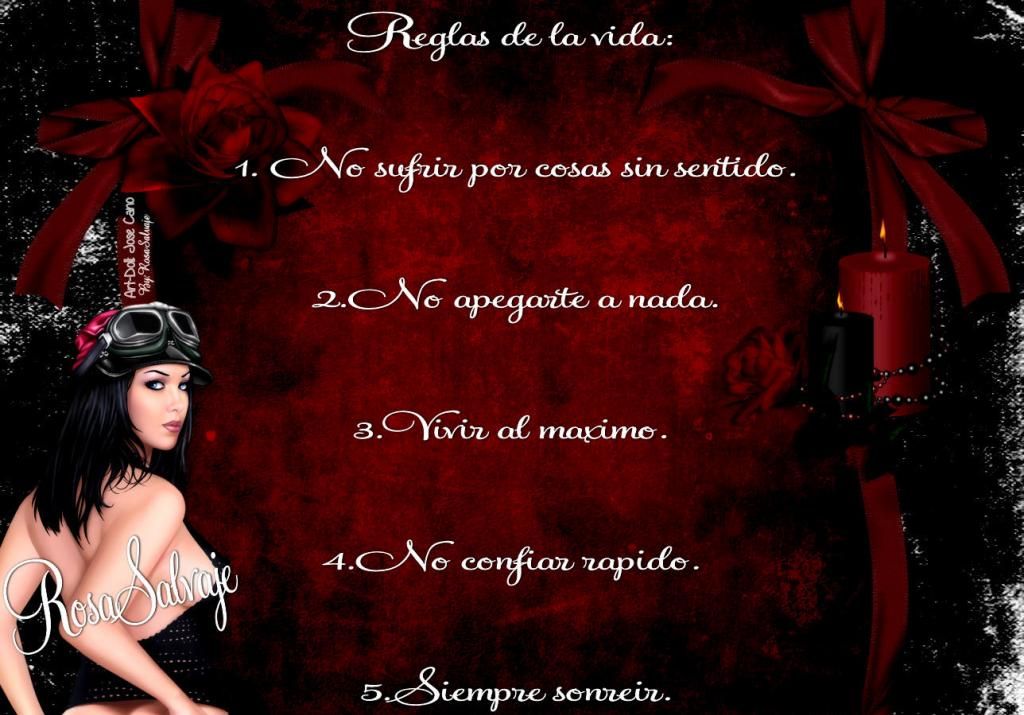  photo reglas_zps0d7e7966.jpg