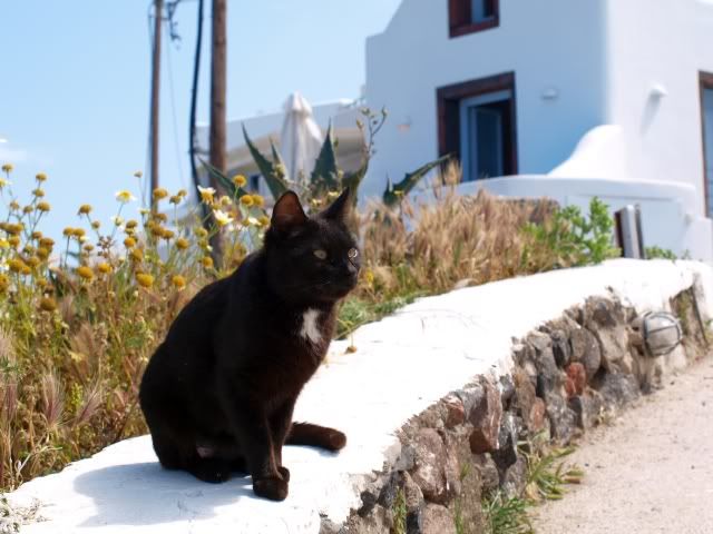 Mis vacaciones en Grecia - Blogs de Grecia - Mykonos-Santorini: 27, 28 y 29 de Mayo de 2011. (46)