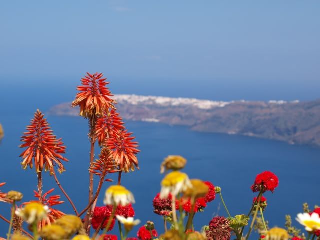 Mykonos-Santorini: 27, 28 y 29 de Mayo de 2011. - Mis vacaciones en Grecia (14)