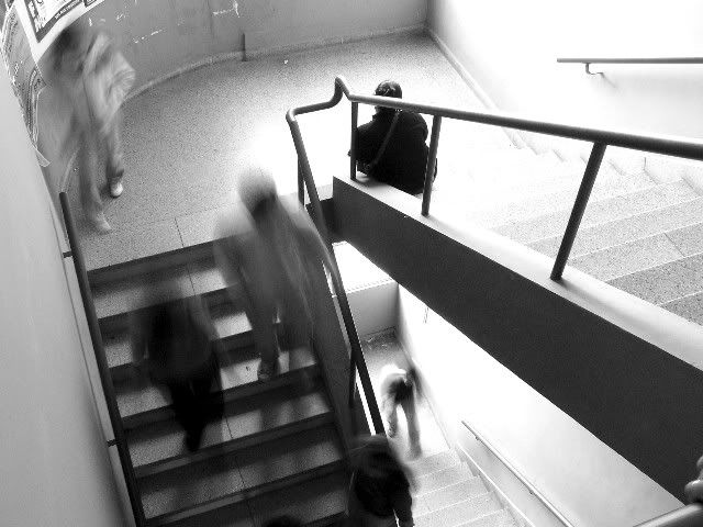 universidad universidad