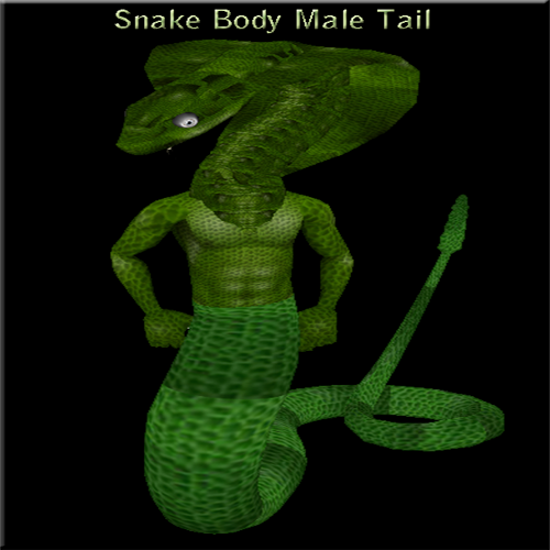  photo snakemaletailpic_zpsf2ab0e7f.png