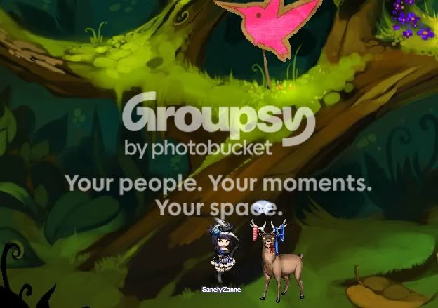 User Image