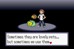 [PokeCommunity.com] Pokemon Quartz