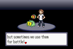 [PokeCommunity.com] Pokemon Quartz